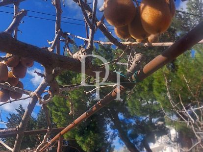 Cottage in Bar, Montenegro, 80m2 - for 134&nbsp;000€ - Ref: 71945 photo 3