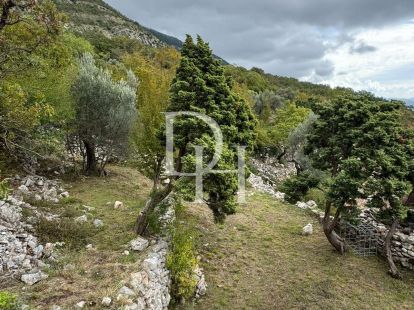 Land in Sutomore, Montenegro, 485m2 - for 43&nbsp;000€ - Ref: 71894 photo 2