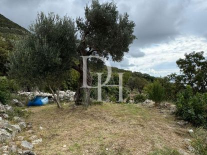 Land in Sutomore, Montenegro, 485m2 - for 43&nbsp;000€ - Ref: 71894 photo 4