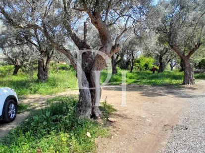 Land in Bar, Montenegro, 503m2 - for 100&nbsp;000€ - Ref: 71811 photo 2