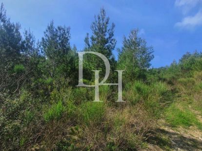 Ділянка у Сутоморі, Чорногорія, 1 727м2 - вартість 165&nbsp;000€ - Ref: 71754 фото 2