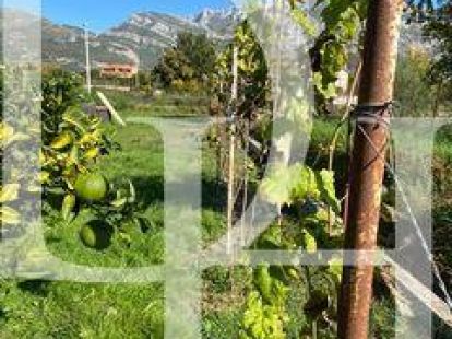 Cottage in Bar, Montenegro, 200m2 - for 550&nbsp;000€ - Ref: 71459 photo 8