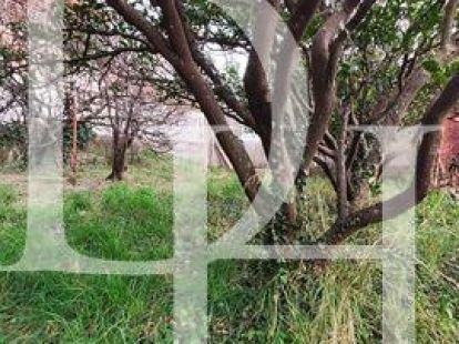 Land in Sutomore, Montenegro, 210m2 - kosten 30&nbsp;000€ - Ref: 71457 foto 5