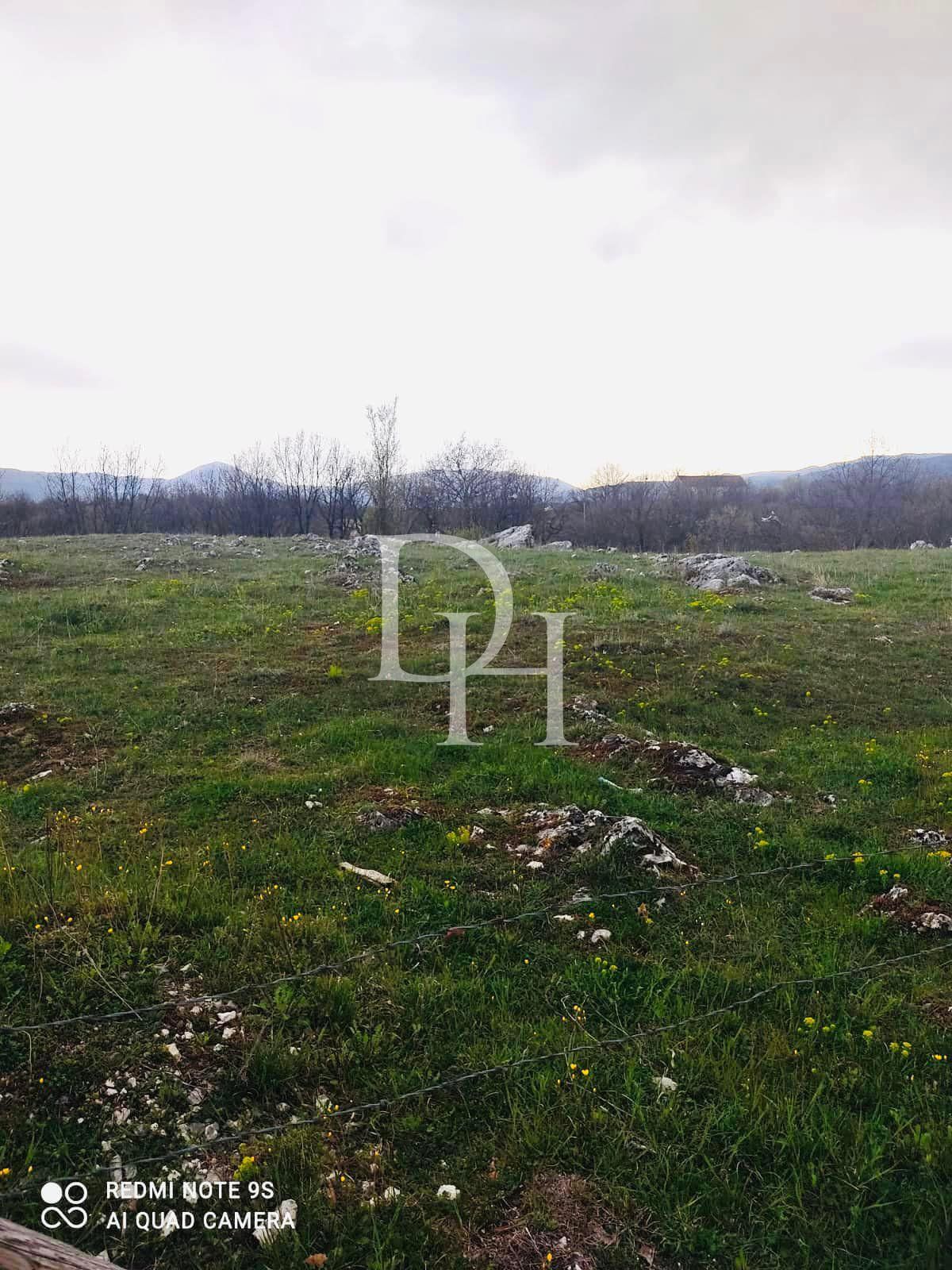 Участок в Никшиче, Черногория, 2 200м2 - стоимость 25&nbsp;000€ - Ref: 71318 фото 2