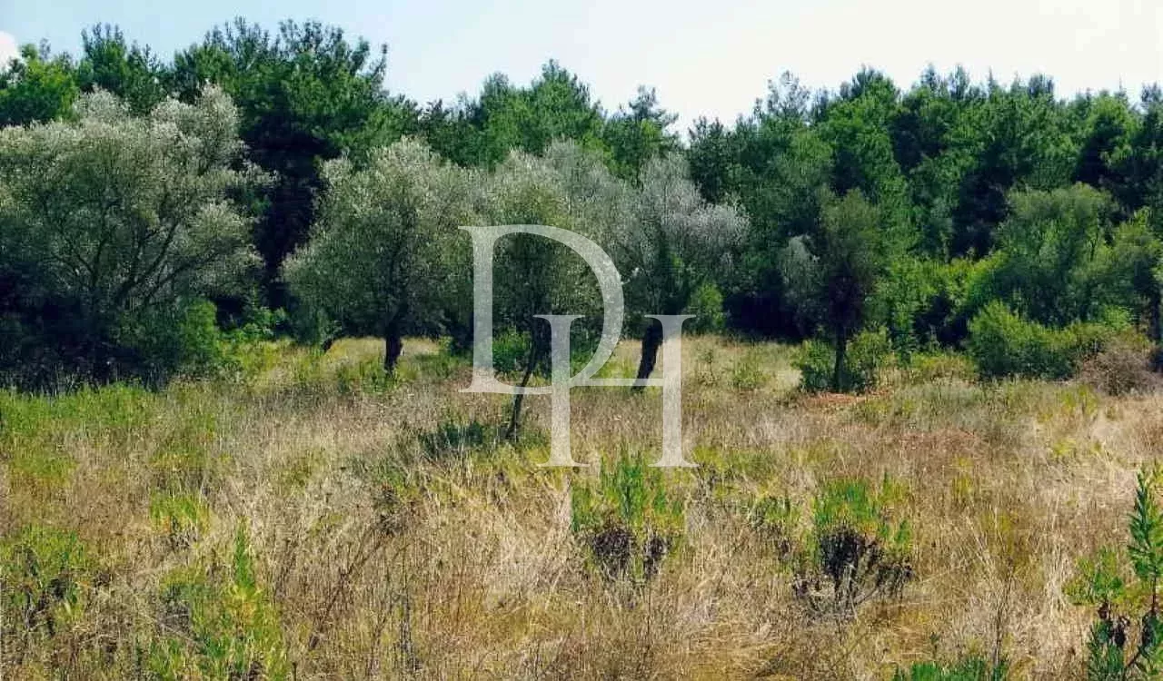 Участок в Которе, Черногория, 1 350м2 - стоимость 250&nbsp;000€ - Ref: 71252 фото 1