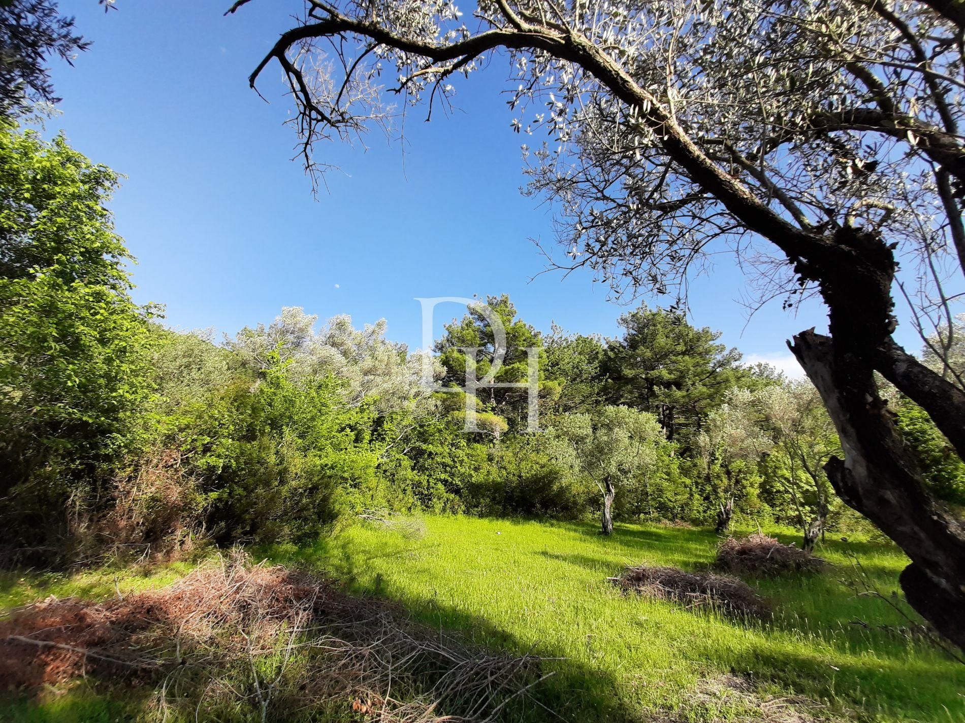 Участок в Которе, Черногория, 1 350м2 - стоимость 250&nbsp;000€ - Ref: 71252 фото 2