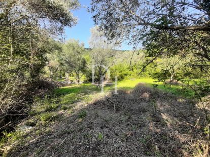 Участок в Которе, Черногория, 1 350м2 - стоимость 250&nbsp;000€ - Ref: 71252 фото 3