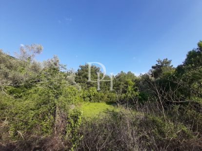 Участок в Которе, Черногория, 1 350м2 - стоимость 250&nbsp;000€ - Ref: 71252 фото 4