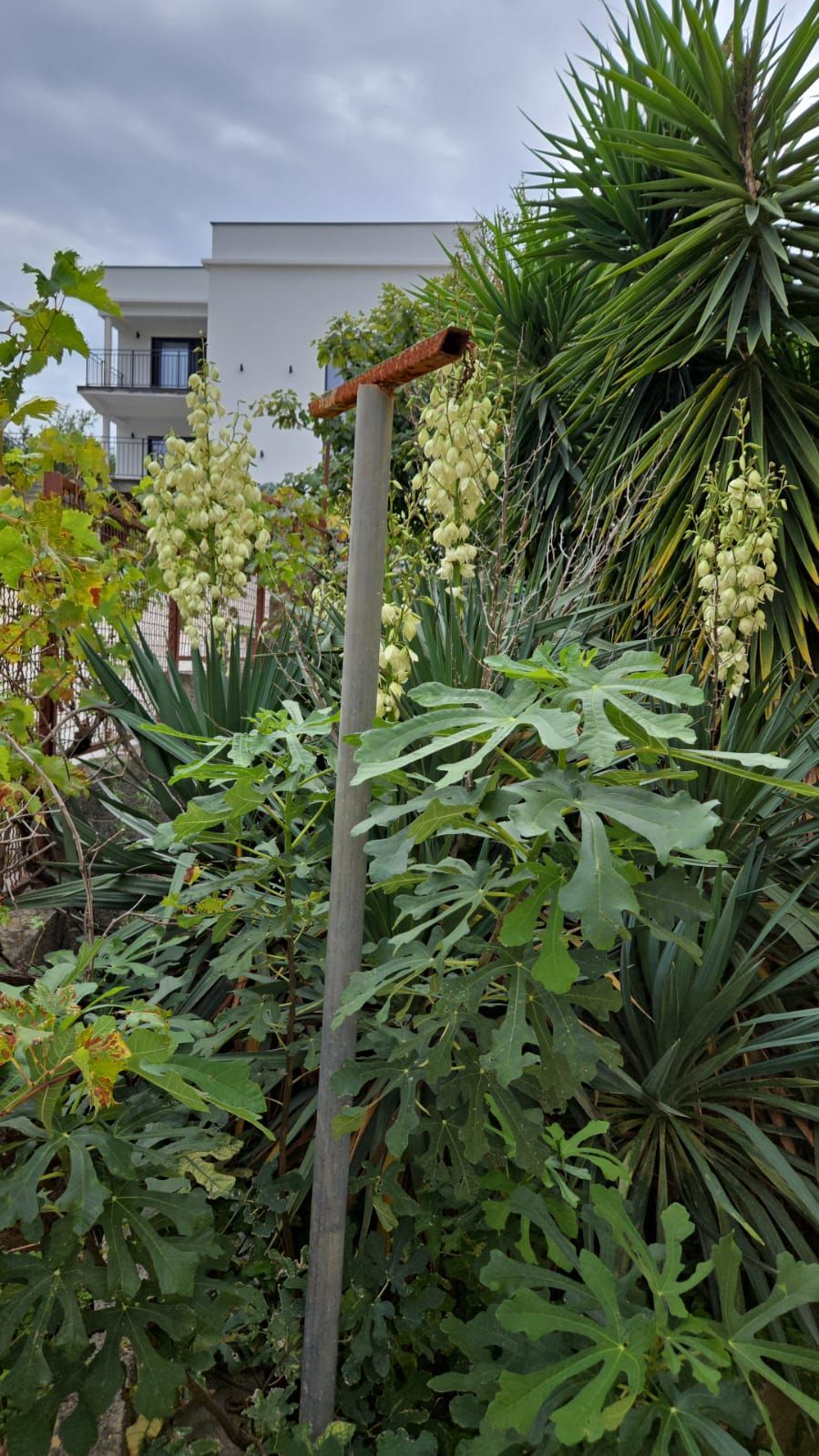 Willa w Barze, Czarnogóra, 364m2 - koszt 500&nbsp;000€ - Ref: 72265 zdjęcia 3