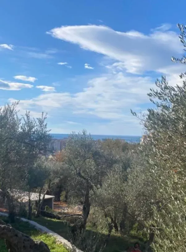 Land in Bar, Montenegro, 1 006m2 - for 120&nbsp;000€ - Ref: 72260 photo 3