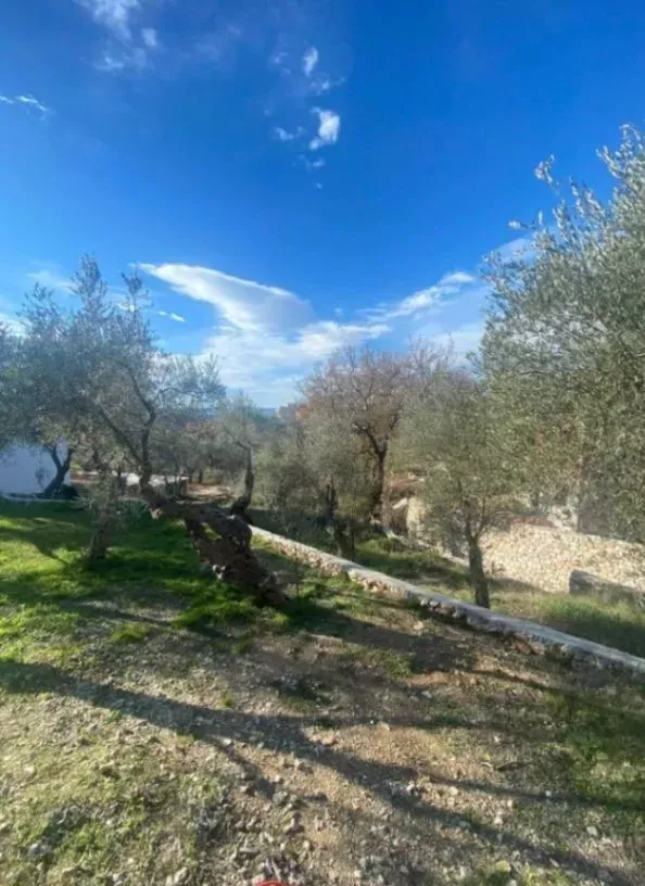 Land in Bar, Montenegro, 1 006m2 - for 120&nbsp;000€ - Ref: 72260 photo 4