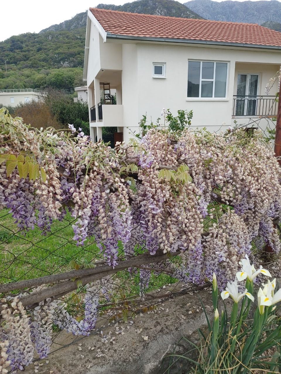 Villa in Bar, Montenegro, 180m2 - for 180&nbsp;000€ - Ref: 72256 photo 1