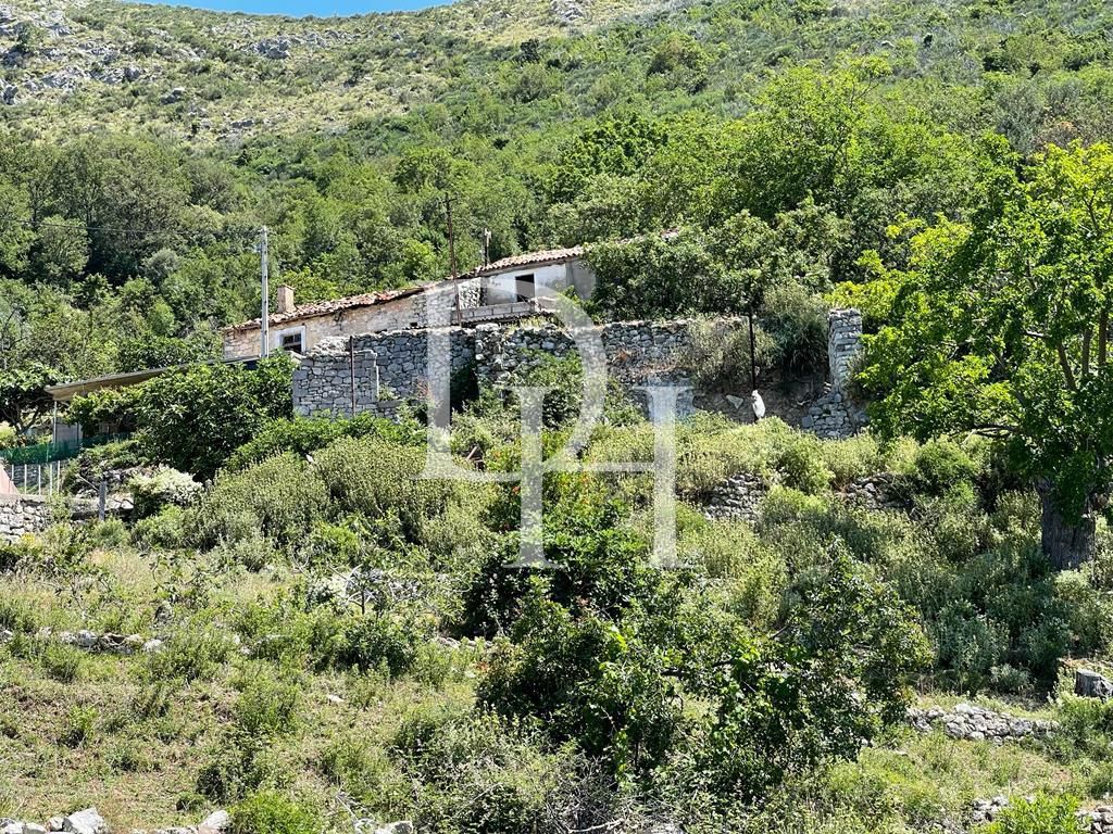 Участок в Баре, Черногория, 10 000м2 - стоимость 300&nbsp;000€ - Ref: 72200 фото 7