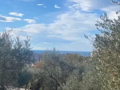 Land in Bar, Montenegro, 1 006m2 - for 120&nbsp;000€ - Ref: 72260 photo 3