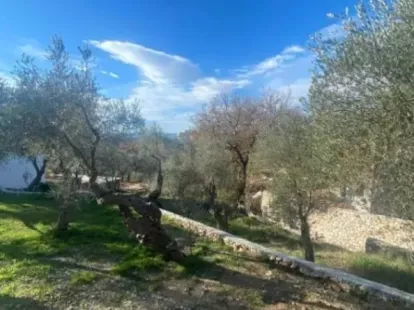 Land in Bar, Montenegro, 1 006m2 - for 120&nbsp;000€ - Ref: 72260 photo 4