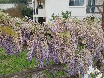 Вилла в Баре, Черногория за 180 000€ (ID:72256)