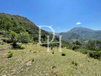 Участок в Баре, Черногория, 10 000м2 - стоимость 300&nbsp;000€ - Ref: 72200 фото 5