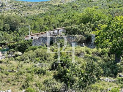 Участок в Баре, Черногория, 10 000м2 - стоимость 300&nbsp;000€ - Ref: 72200 фото 7