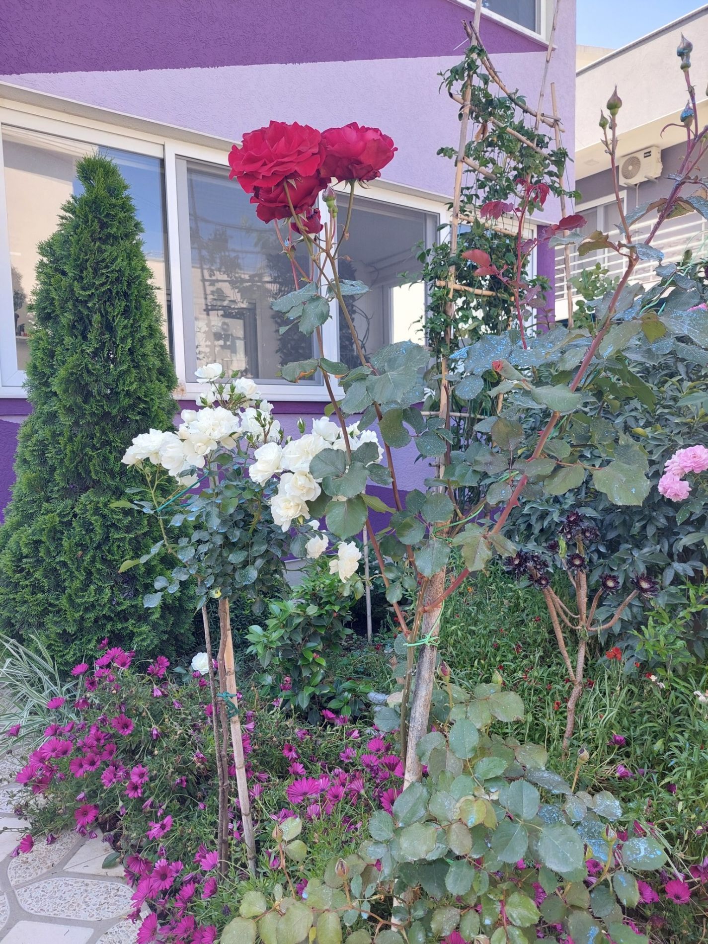 Коттедж в Баре, Черногория, 200м2 - стоимость 265&nbsp;000€ - Ref: 72277 фото 2