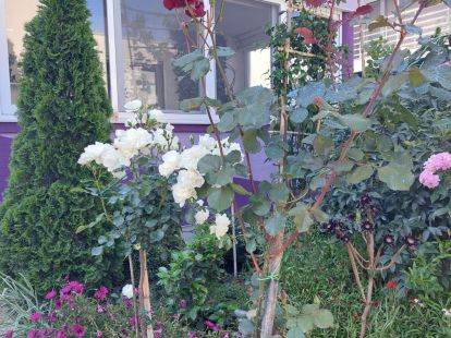 Коттедж в Баре, Черногория, 200м2 - стоимость 265&nbsp;000€ - Ref: 72277 фото 2