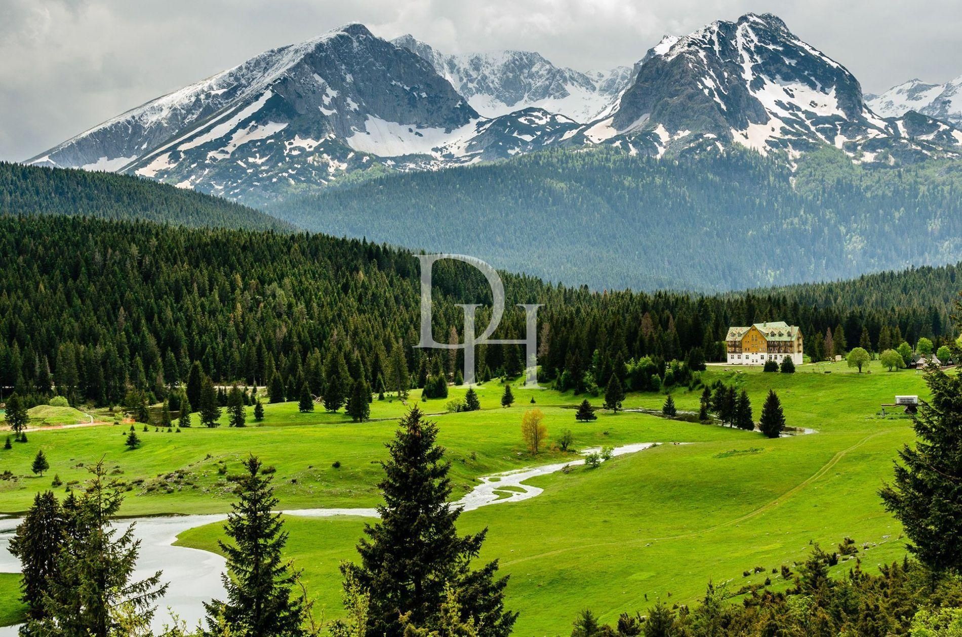 Ділянка у Жабляку, Чорногорія, 90 000м2 - Ref: 72288 фото 1