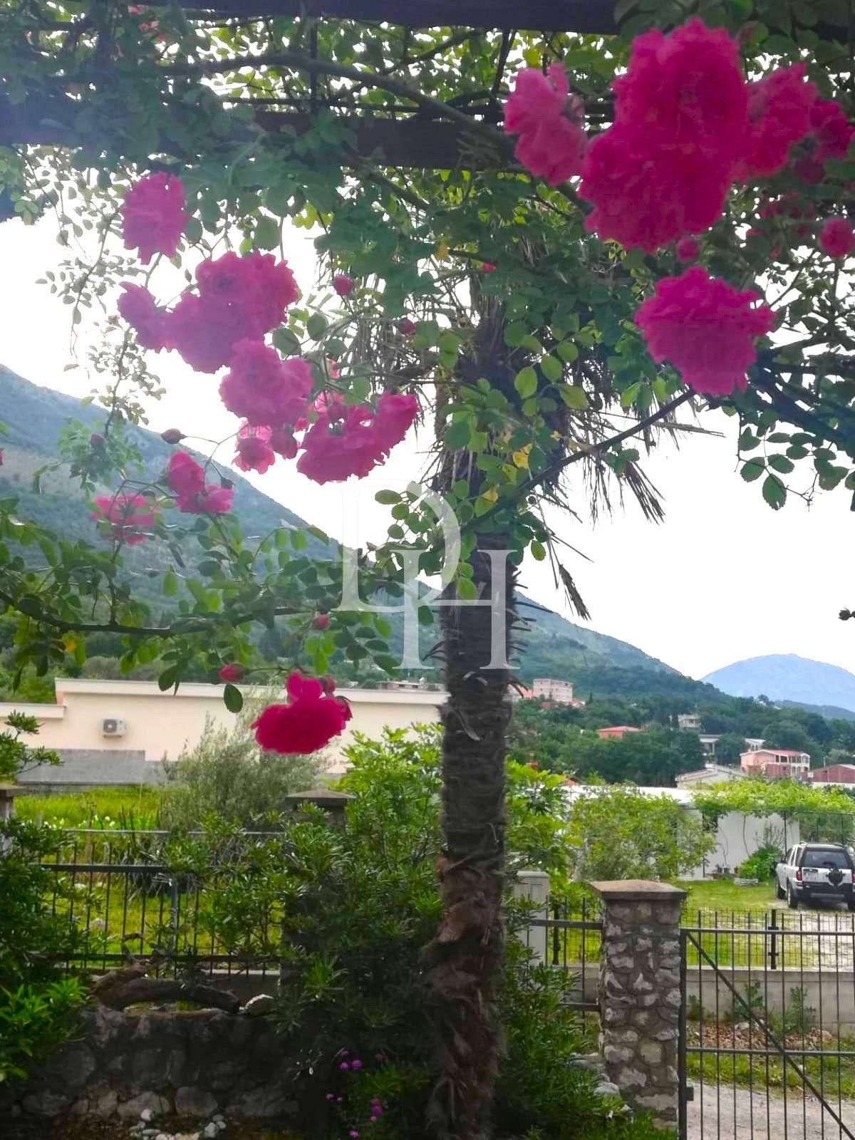 Таунхаус в Сутоморе, Черногория, 77м2 - стоимость 87&nbsp;000€ - Ref: 72308 фото 1