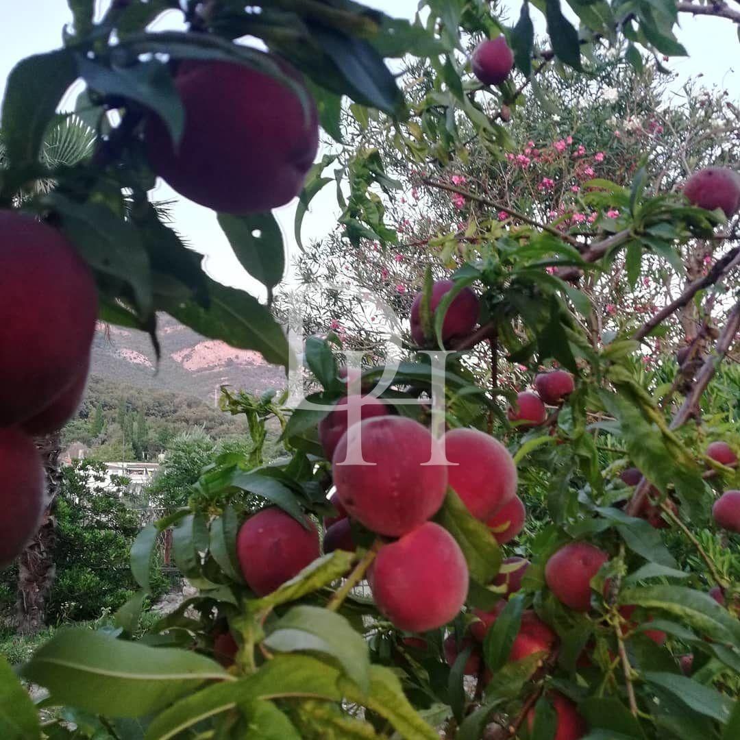 Таунхаус в Сутоморе, Черногория, 77м2 - стоимость 87&nbsp;000€ - Ref: 72308 фото 15