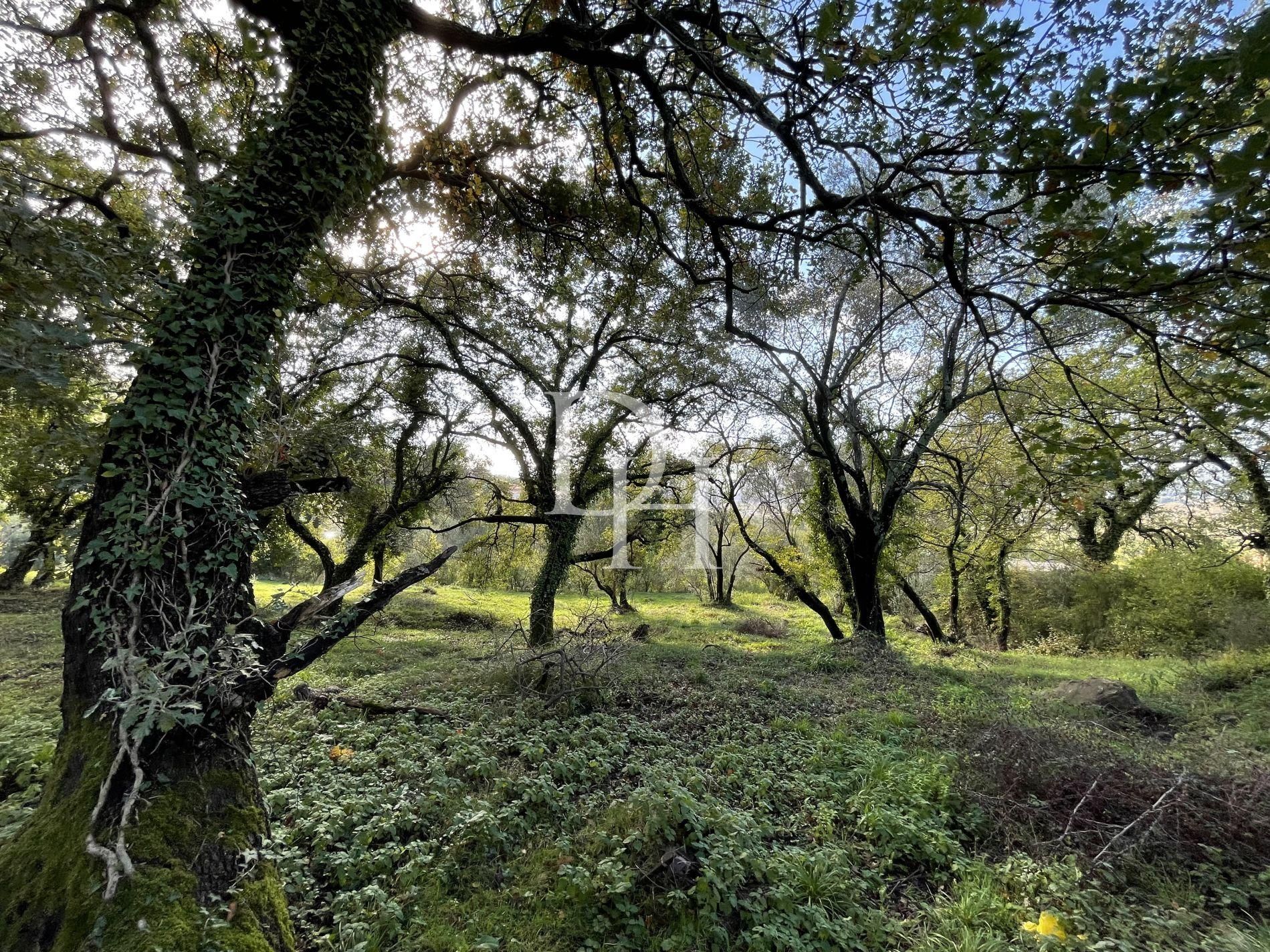 Участок в Которе, Черногория, 3 300м2 - стоимость 590&nbsp;000€ - Ref: 72306 фото 3