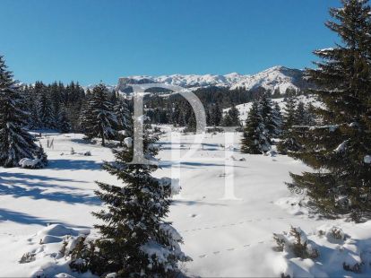 Коттедж в Жабляке, Черногория, 70м2 - стоимость 85&nbsp;000€ - Ref: 72293 фото 2