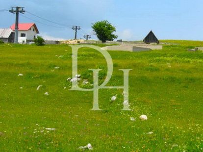 Участок в Жабляке, Черногория, 1 750м2 - стоимость 131&nbsp;250€ - Ref: 72287 фото 7