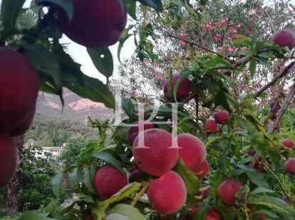 Таунхаус в Сутоморе, Черногория, 77м2 - стоимость 87&nbsp;000€ - Ref: 72308 фото 15