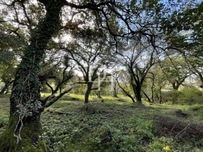 Участок в Которе, Черногория, 3 300м2 - стоимость 590&nbsp;000€ - Ref: 72306 фото 3