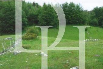 Участок в Жабляке, Черногория, 750м2 - стоимость 85&nbsp;000€ - Ref: 72380 фото 1