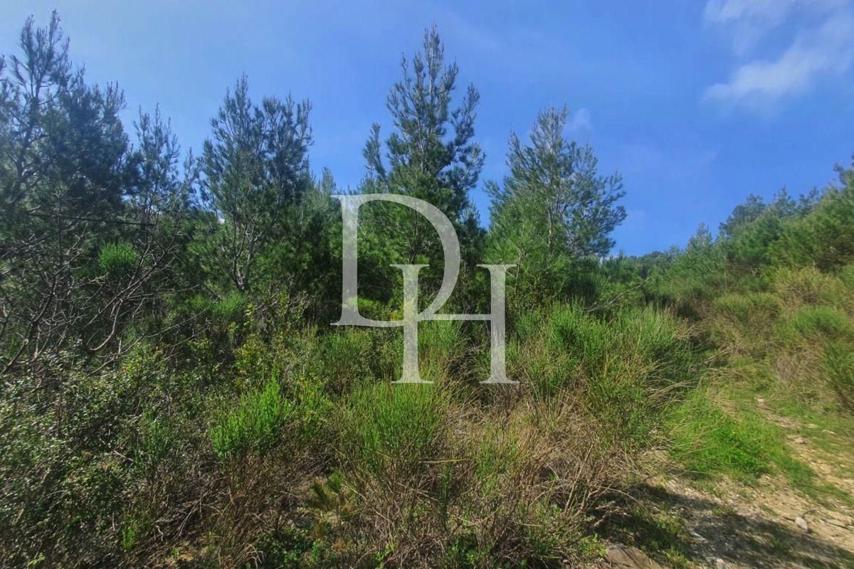 Участок в Сутоморе, Черногория, 1 727м2 - стоимость 145&nbsp;000€ - Ref: 72422 фото 1