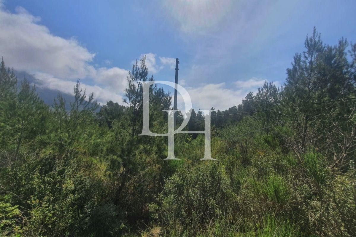 Участок в Сутоморе, Черногория, 1 727м2 - стоимость 145&nbsp;000€ - Ref: 72422 фото 3