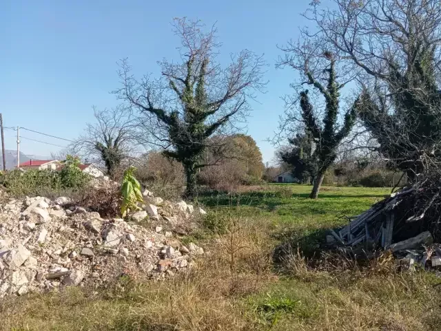 Участок в Даниловграде, Черногория, 5 500м2 - стоимость 85&nbsp;000€ - Ref: 72472 фото 6