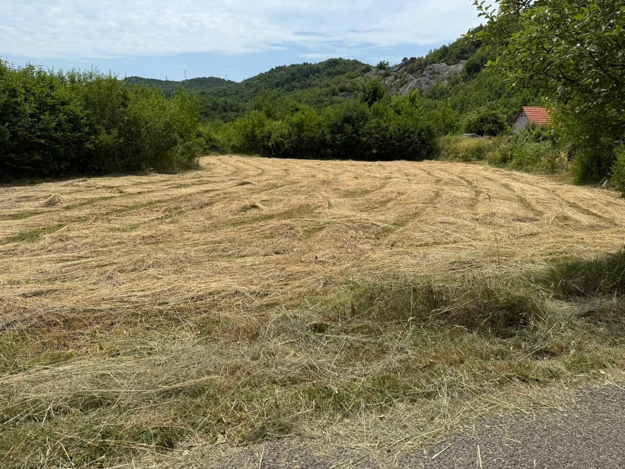 Land in Cetinje, Montenegro, 400m2 - kosten 32&nbsp;000€ - Ref: 72470 foto 4