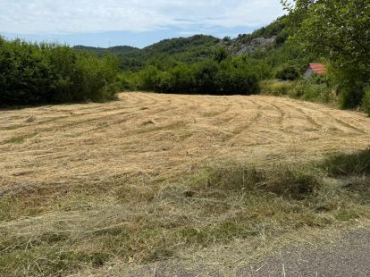 Land in Cetinje, Montenegro, 400m2 - kosten 32&nbsp;000€ - Ref: 72470 foto 4