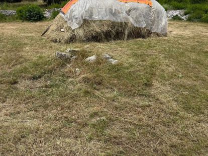 Land in Cetinje, Montenegro, 400m2 - kosten 32&nbsp;000€ - Ref: 72470 foto 7