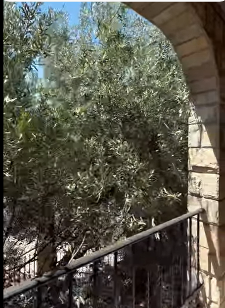 Готель у Добра Вода, Чорногорія, 600м2 - вартість 490&nbsp;000€ - Ref: 72481 фото 10