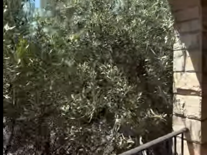 Готель у Добра Вода, Чорногорія, 600м2 - вартість 490&nbsp;000€ - Ref: 72481 фото 10