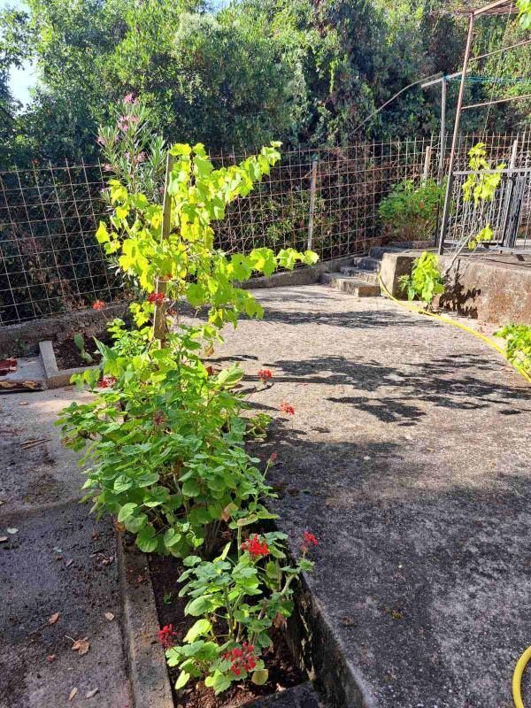 Коттедж в Утехе, Черногория, 50м2 - стоимость 80&nbsp;000€ - Ref: 72487 фото 4