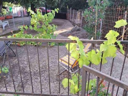 Коттедж в Утехе, Черногория, 50м2 - стоимость 80&nbsp;000€ - Ref: 72487 фото 3