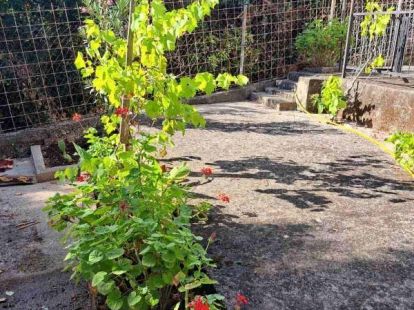 Коттедж в Утехе, Черногория, 50м2 - стоимость 80&nbsp;000€ - Ref: 72487 фото 4