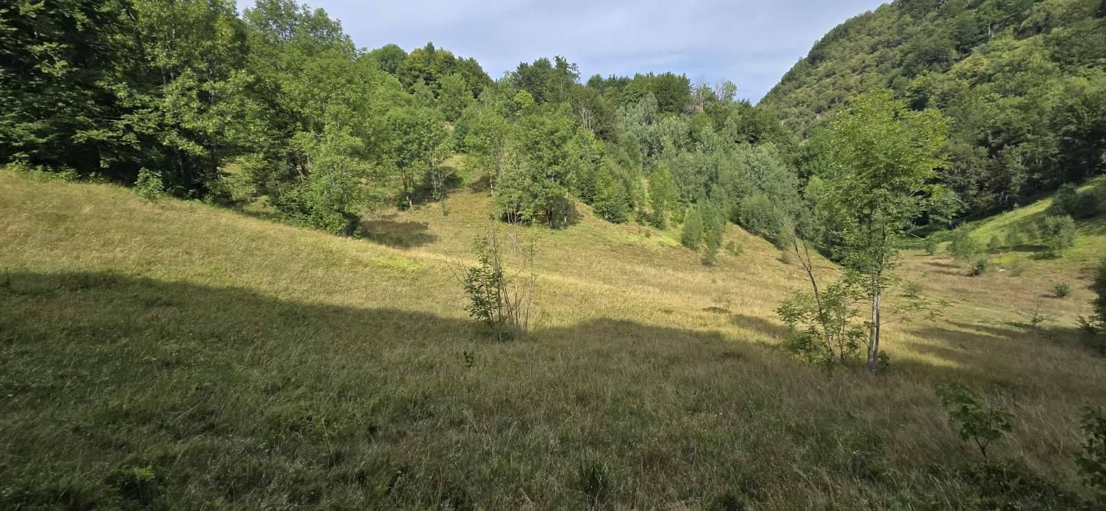 Land in Kolasin, Montenegro, 26 000m2 - kosten 15€ - Ref: 72521 foto 3