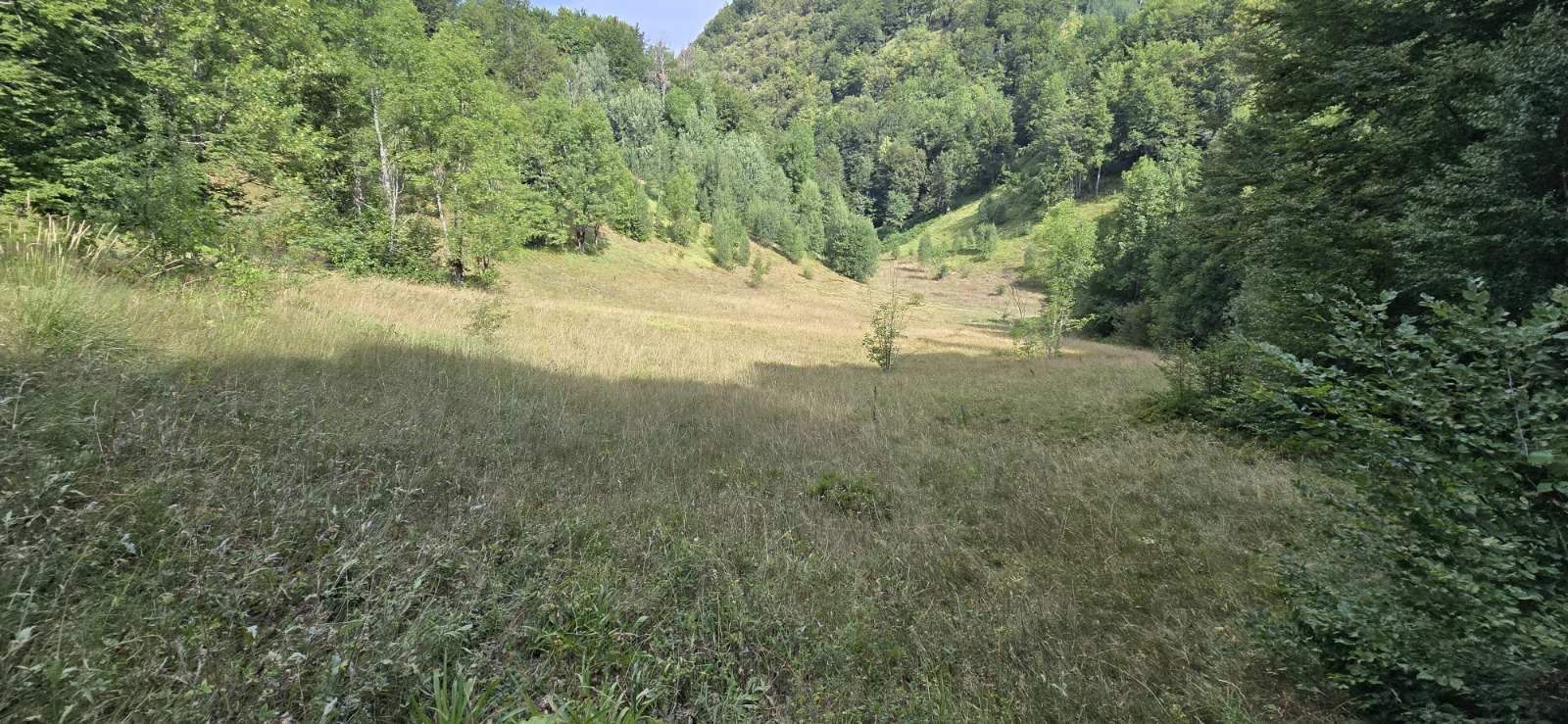 Land in Kolasin, Montenegro, 26 000m2 - kosten 15€ - Ref: 72521 foto 4