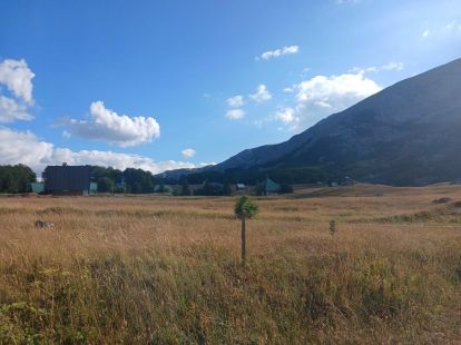 Участок в Жабляке, Черногория, 1 200м2 - стоимость 110€ - Ref: 72522 фото 4