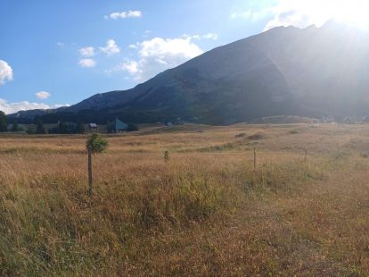 Участок в Жабляке, Черногория, 1 200м2 - стоимость 110€ - Ref: 72522 фото 6