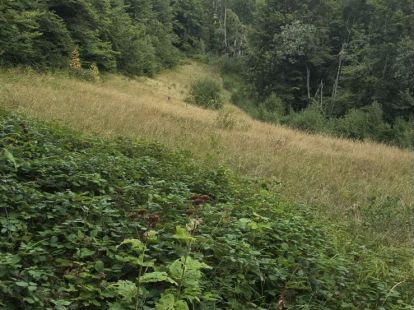 Участок в Колашине, Черногория за 15€ (ID:72521)