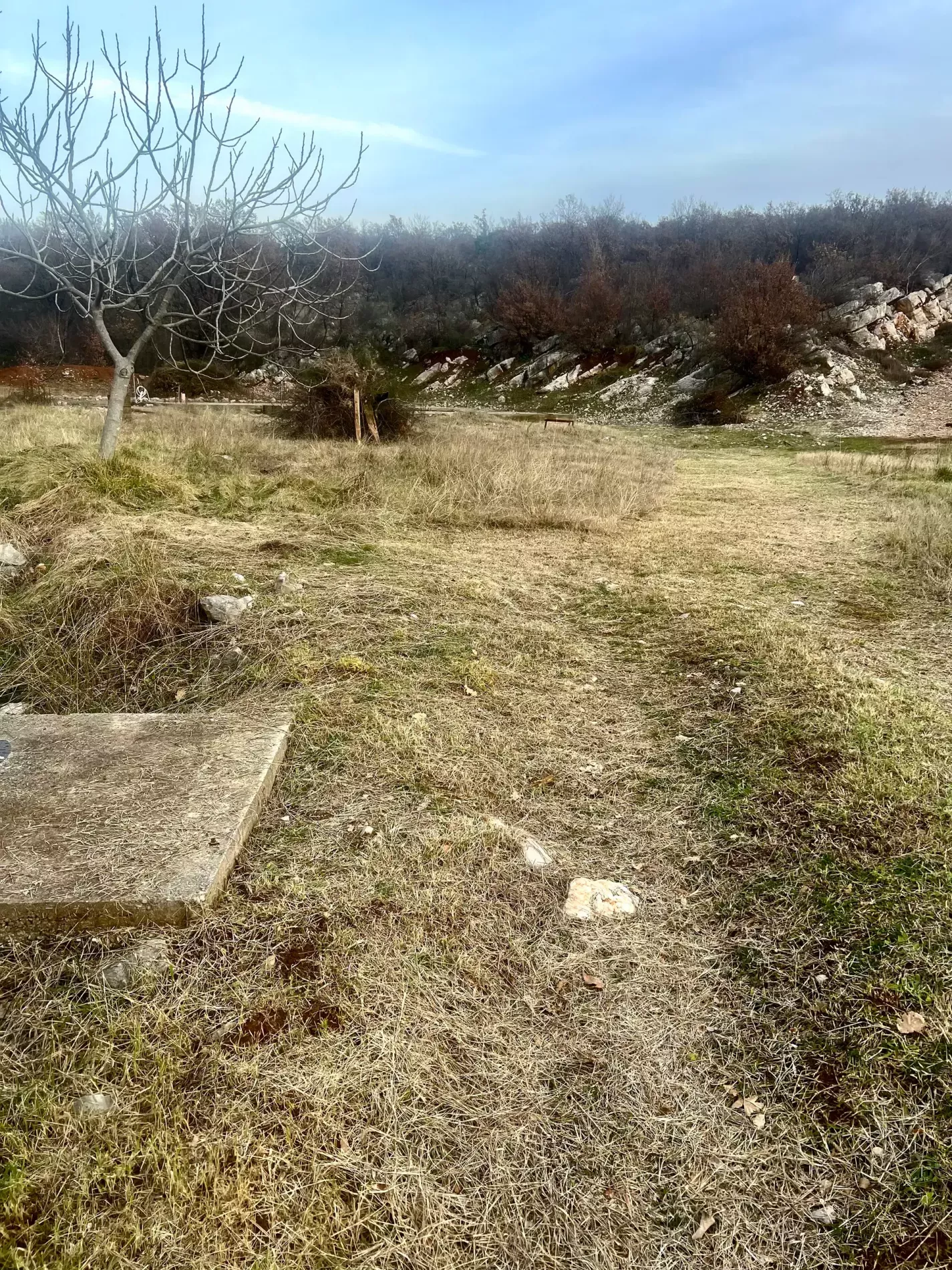 Ділянка у Подгориці, Чорногорія, 1 478м2 - вартість 100&nbsp;000€ - Ref: 72525 фото 4